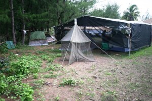 Main Camp and malaise 02 sm