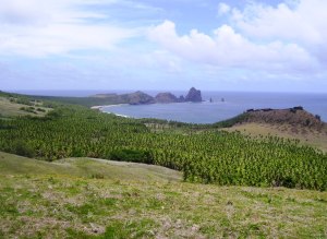 East from saddle_01 12 July 2010