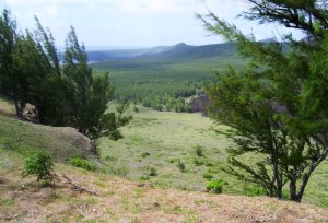 looking down from Miari Cliff_02 12 July 2010