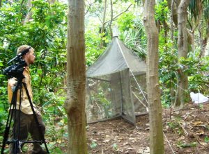 malaise on transect 3_01 12 July 2010