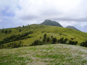 south from saddle_01 12 July 2010